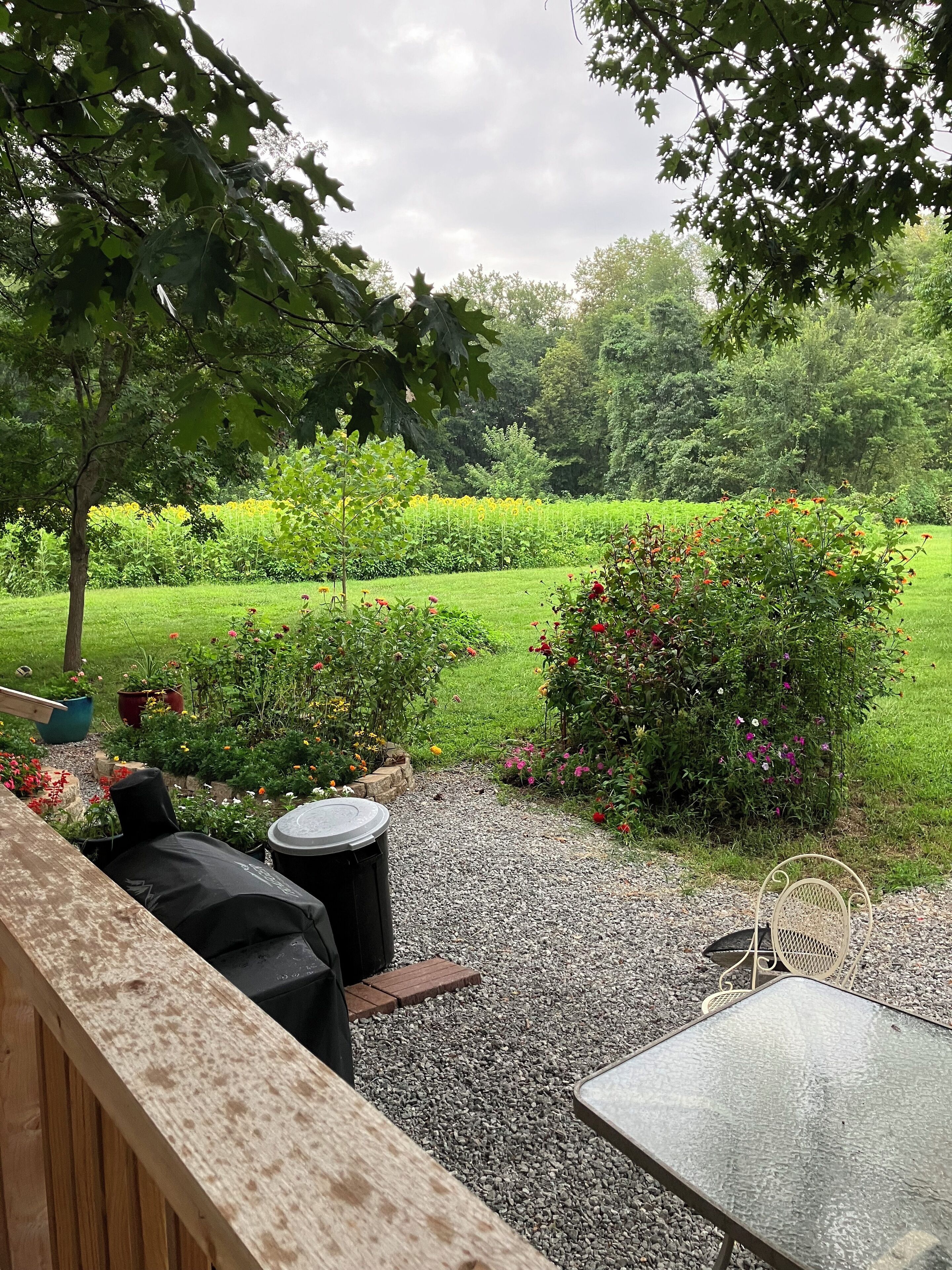 A patio with a table and chairs, surrounded by a gravel path and lush greenery.