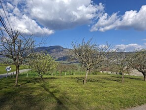 Property grounds - LA MILONGA - AYN - Gîte (AYN)