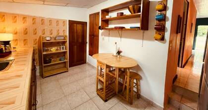 House 421 in Boquete