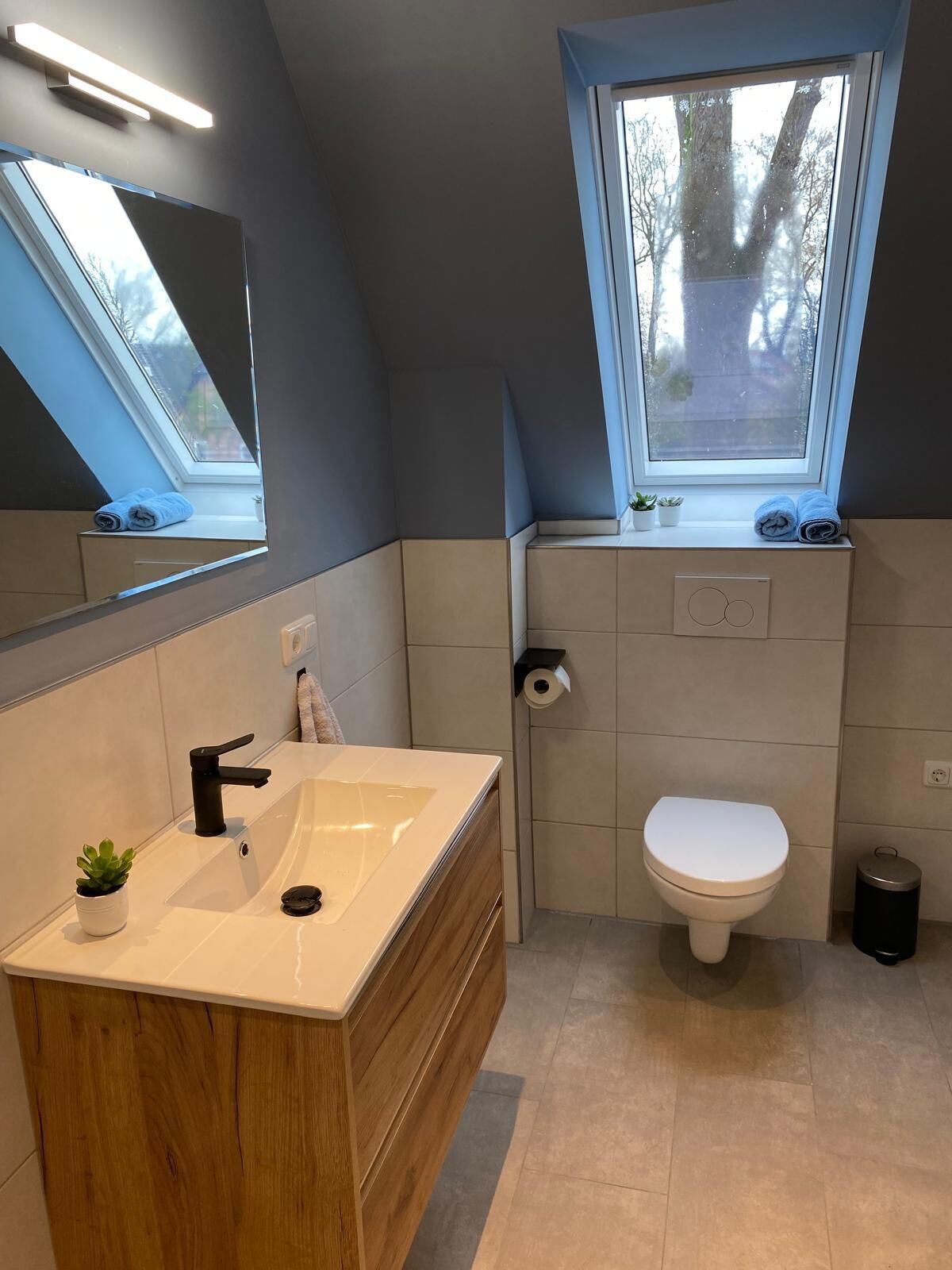 Asciugacapelli, sapone, carta igienica