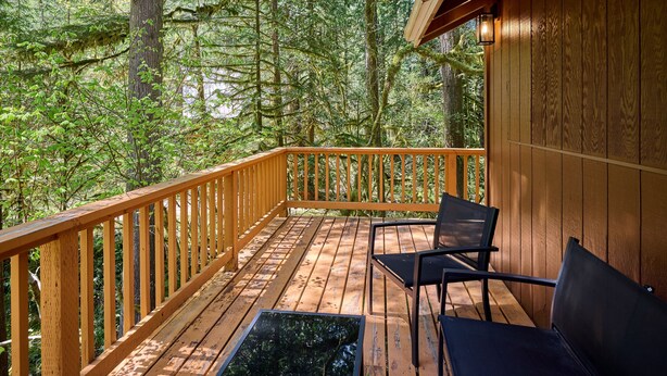 A wooden deck with a railing, two chairs, and a table. - Cozy Forest Cabin, Hot Tub, King beds, AC, Fast Wi-fi, Waterfront, Pet Friendly (Rhododendron)