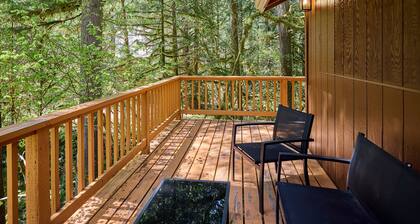 NEW - Cozy Waterfront Cabin Nestled in the Forest - King beds / AC / Fast Wi-fi