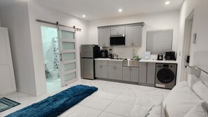 Ein modernes Schlafzimmer mit einem großen Bett, einem blauen Teppich, einer integrierten Waschmaschine und einer Küchenzeile mit grauen Schränken und einer Mikrowelle.
