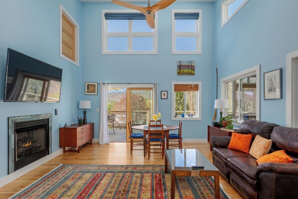 Smart TV, fireplace, books