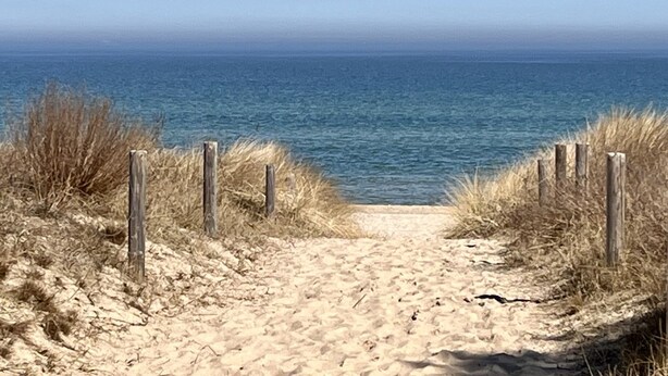 A sandy beach path leading to the ocean with wooden posts on either side.