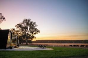 A building with a patio area, a large tree, and a field with cattle. - Warrawindi Escapes (Penola)