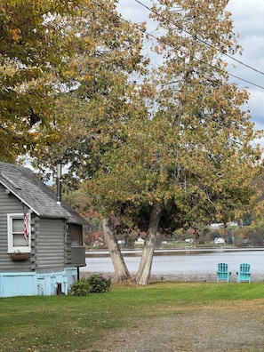 Property grounds - Fun Little Camp in Portage Lake Maine (Portage Lake)