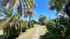 A pathway lined with palm trees and red flowers, leading towards a building. - NEW! Saltwater Serenity - Poolside & Walk to Beach (Christiansted)