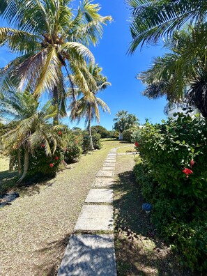 Property grounds - NEW! Saltwater Serenity - Poolside & Walk to Beach (Christiansted)
