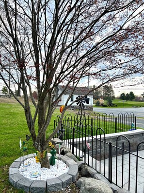 Un quartier résidentiel avec un arbre, une maison blanche et une clôture en métal noir.