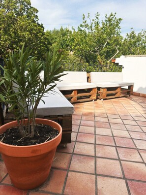 Terraza en la azotea con una maceta, un banco de madera y una pared blanca.