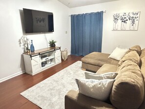 Smart-TV, Bücher
