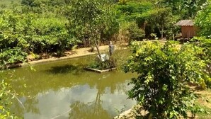 A serene landscape with a pond, lush greenery, and a small wooden structure.