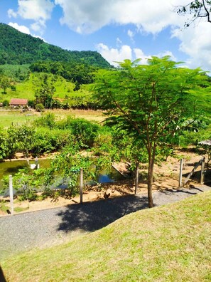 Property grounds - Complete chalet for family accommodation, close to the Park and Pico da Malwee (Jaraguá do Sul)