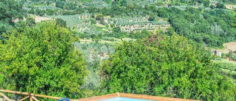 A swimming pool with a wooden deck and metal ladder, surrounded by lush greenery and overlooking a hillside with buildings.