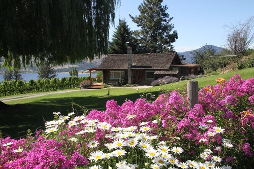  Peaceful, romantic hideaway surrounded by vineyards.