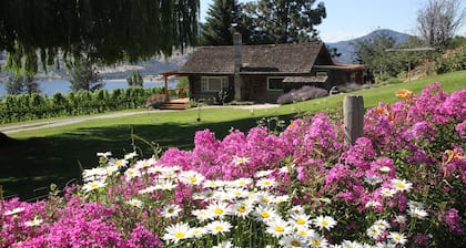 Peaceful, romantic hideaway surrounded by vineyards.