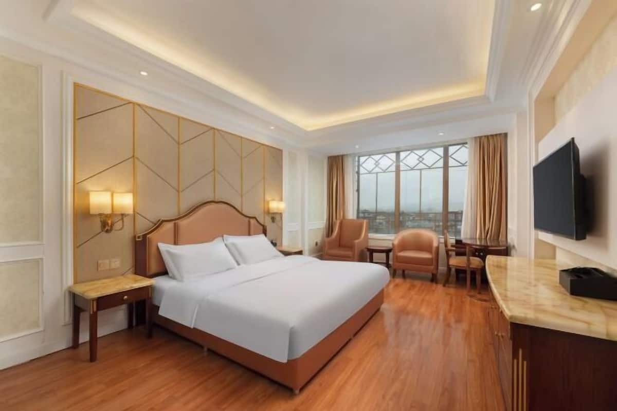 A hotel room with a large bed, a desk, a chair, a TV, and a window with a city view.