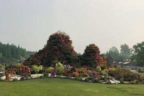 Property grounds - Tianyingju Farmhouse (Shanghai)