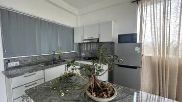 Fridge, microwave, oven, electric kettle