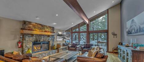 Télévision, cheminée, espaces bureaux