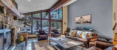 TV, fireplace, offices