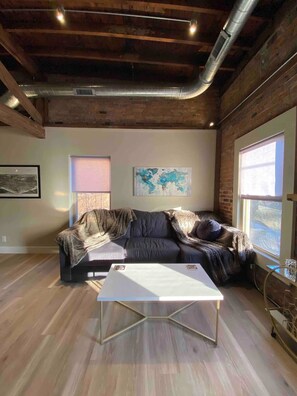 Smart TV, fireplace, books