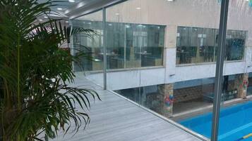 A modern indoor swimming pool area with glass walls, a wooden deck, and a plant.