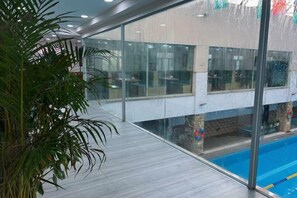 A modern indoor swimming pool area with glass walls, a wooden deck, and a plant.