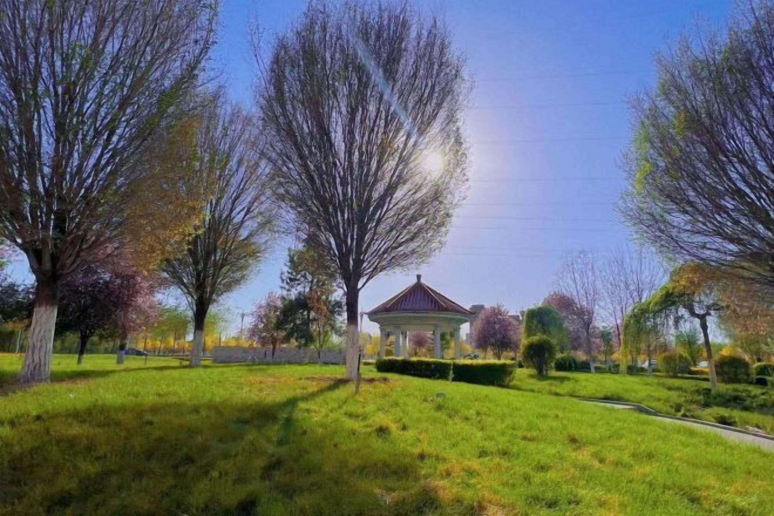 المنطقة المحيطة بالمنشأة