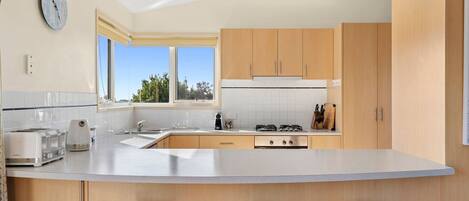 Fridge, oven, stovetop, dishwasher