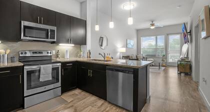 Entire Unit Downtown Dallas, Texas - City Views near Convention center