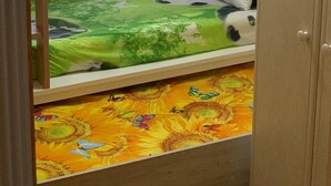A bunk bed with a panda-themed bedspread and a lower bunk with a sunflower-patterned bedspread. - Room-two Rooms Total 5 Persons max (Dublin)