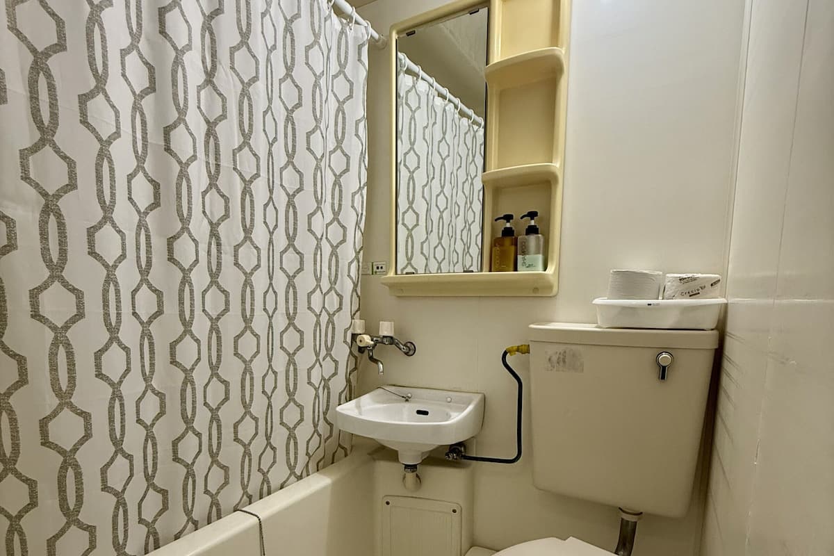 Combined shower/tub, hair dryer, towels, soap