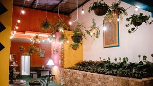 A cozy indoor space with hanging plants, a brick wall, and a seating area with a lamp. - Casa Márquez (Leon)
