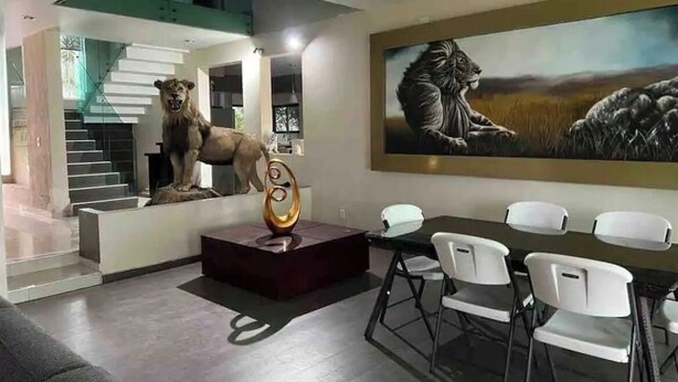 A modern interior with a staircase, a dining area with chairs, and a large painting of a lion. - Leon House (Jardines de la Calera)