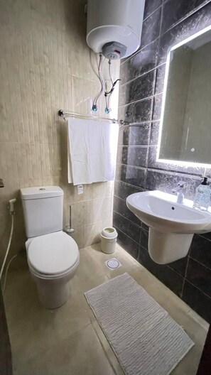 Shower, hair dryer, bidet, towels