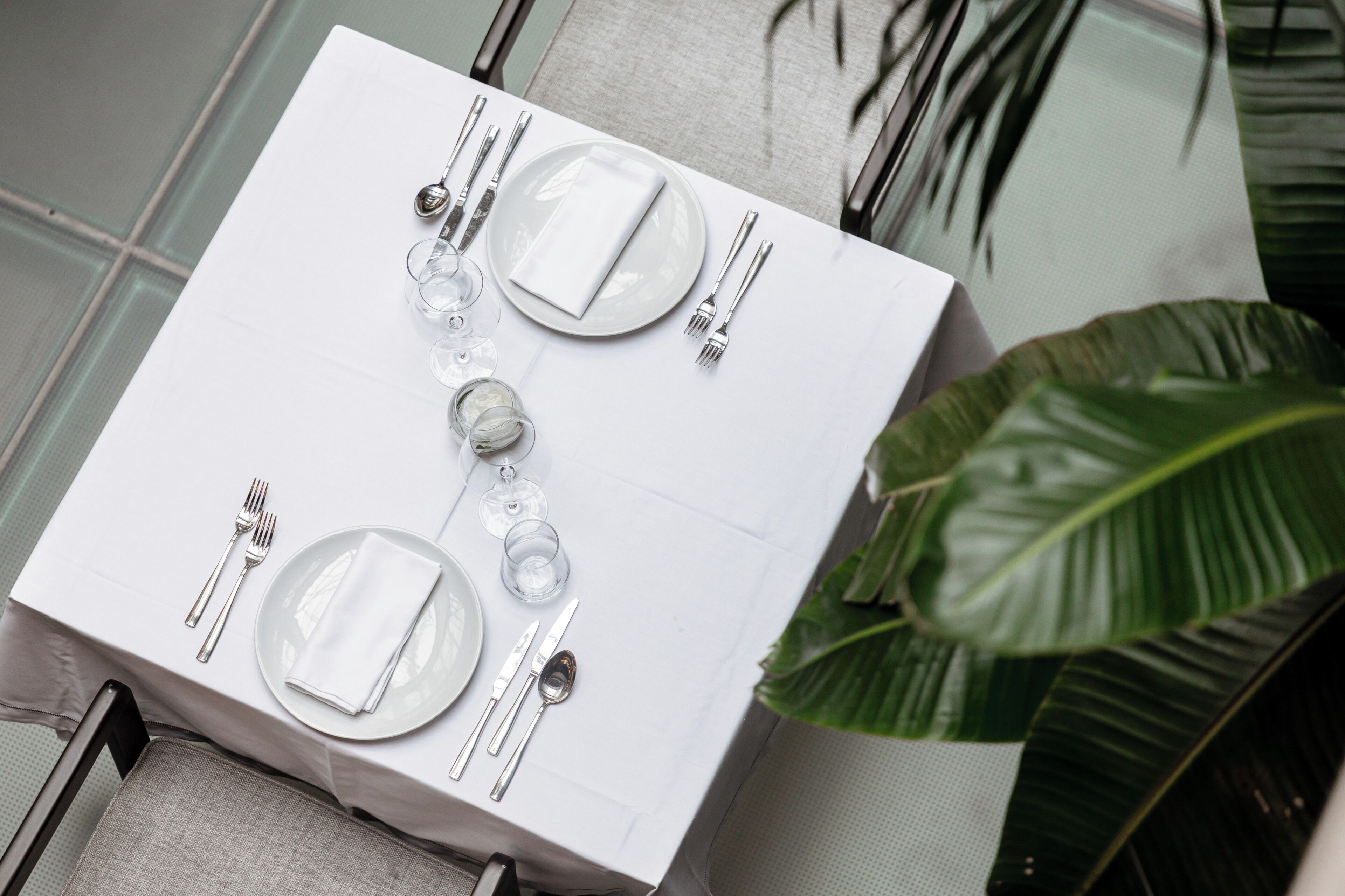 A neatly set dining table with white tablecloth, silverware, and glassware, surrounded by chairs and a large green plant.