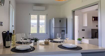 VivimiHome - Monti House