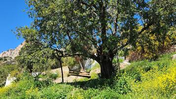 Terrein van de accommodatie