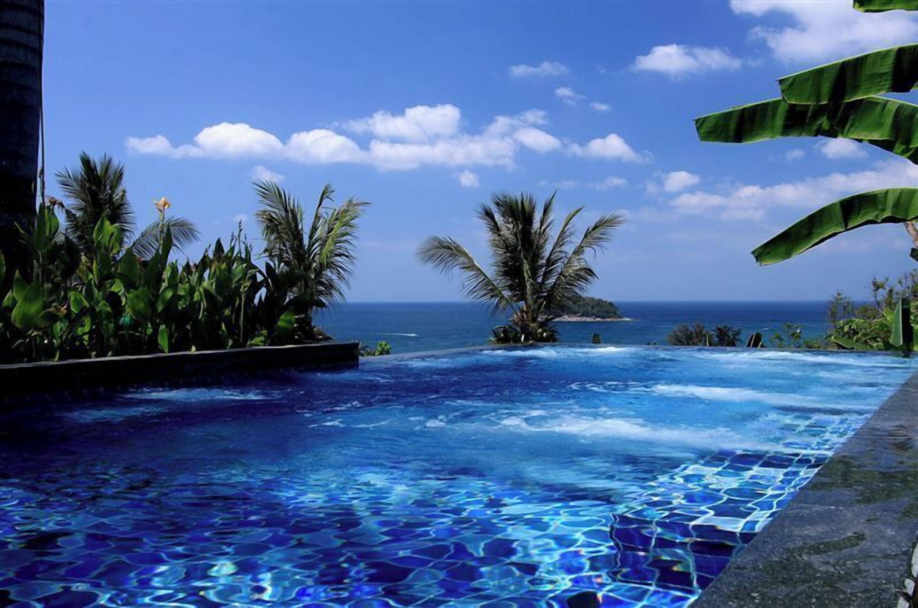 A infinity pool with a view of the ocean, surrounded by palm trees and tropical plants.