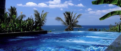 A infinity pool with a view of the ocean, surrounded by palm trees and tropical plants.