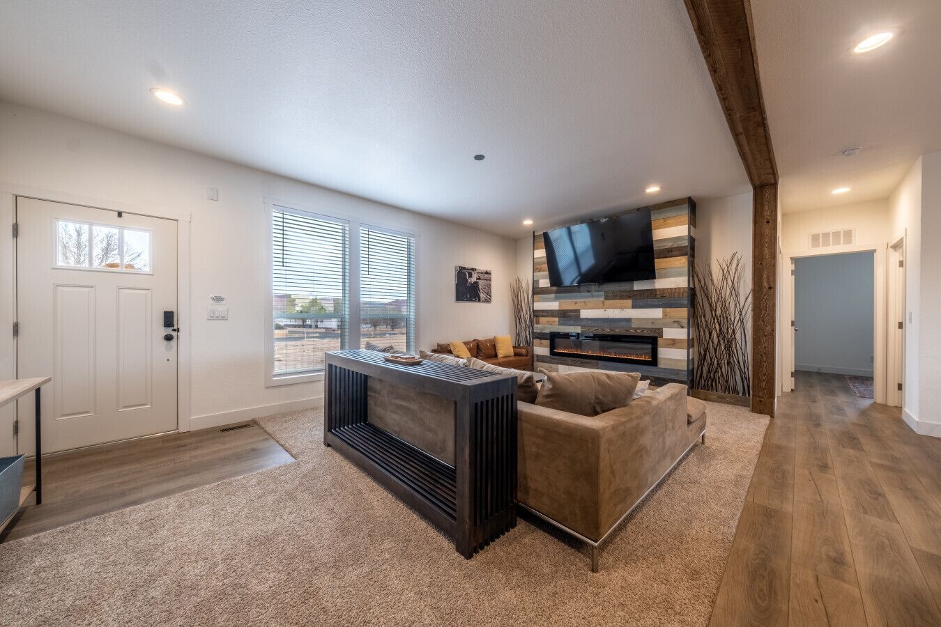 TV, fireplace, books