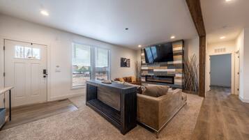 TV, fireplace, books