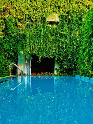 Piscina a l'aire lliure 