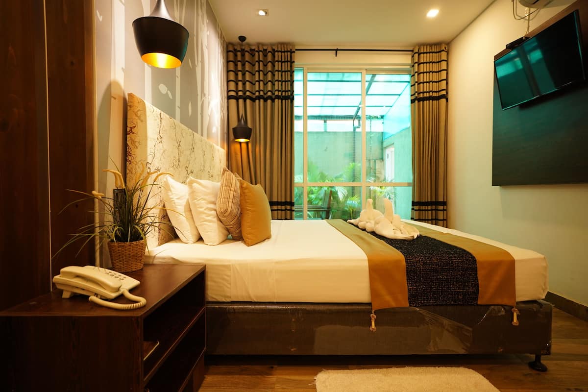 Habitación de hotel moderna con una cama grande, un teléfono en la mesita de noche, una planta en maceta y un televisor montado en la pared.