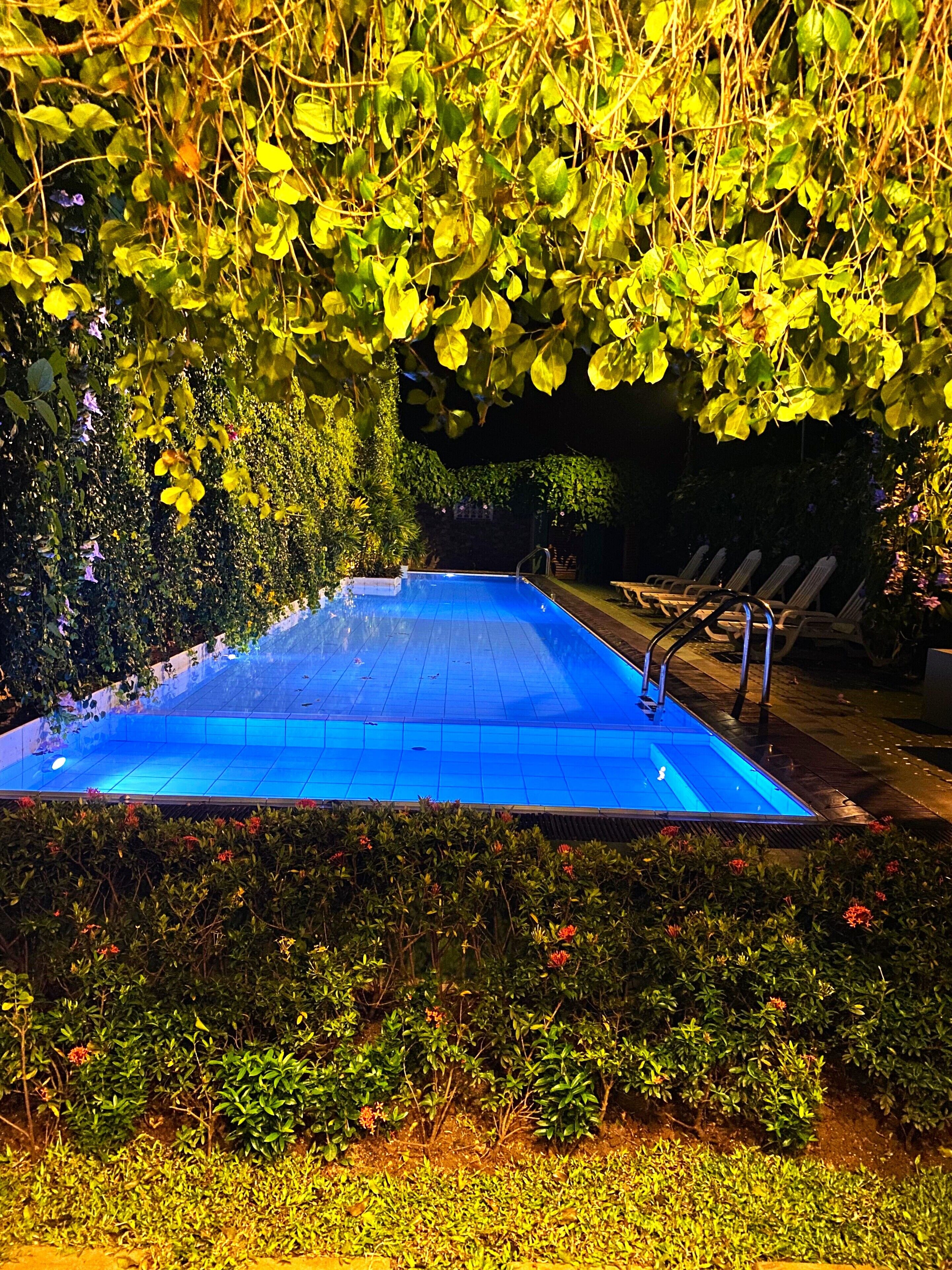 A swimming pool surrounded by lush greenery and a covered seating area.