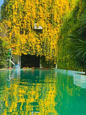 Une piscine dans laquelle se reflètent des fleurs jaunes, et une personne qui utilise un escalier pour entrer dans l’eau.
