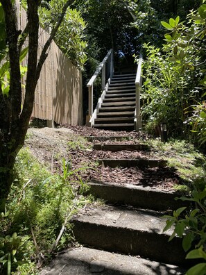 Property grounds - Relax among the kauri trees and native birds, 5 mins walk to Titirangi village. (Auckland)