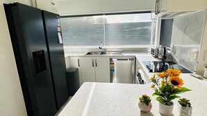 A modern kitchen with stainless steel appliances, a large window, and a countertop with potted plants.
